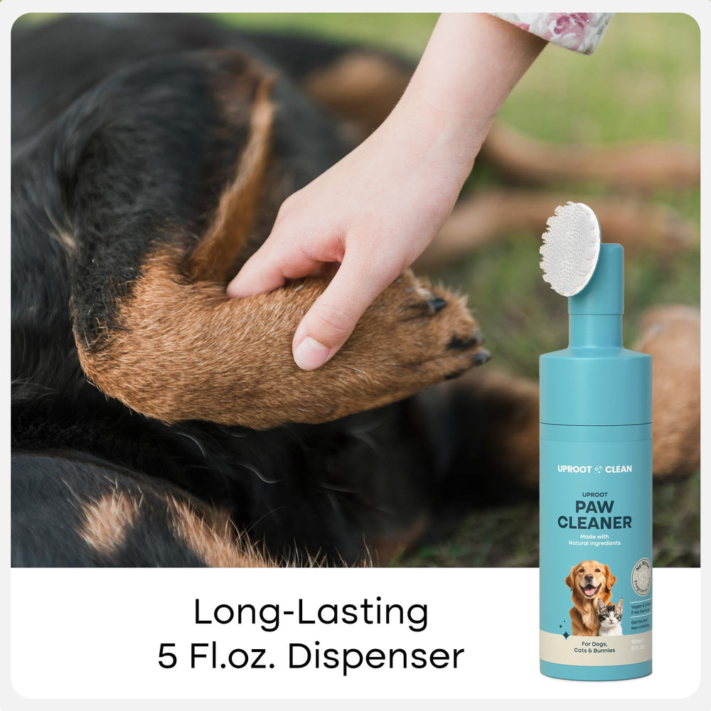 Uproot Clean bristle brush on paws highlighting gentle scrubbing.