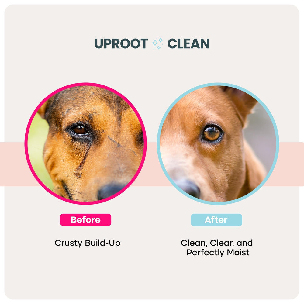 Uproot Clean soft texture wipe on small pet face areas