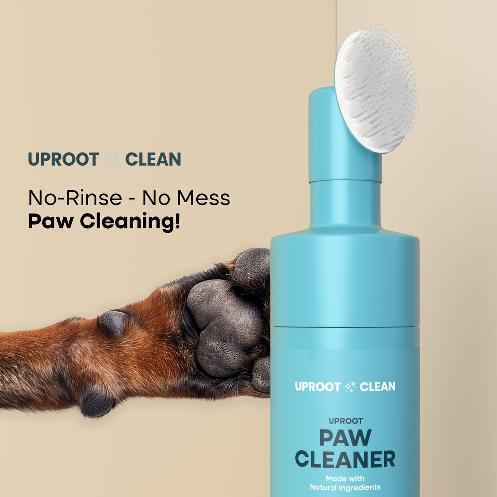 Uproot Clean no-rinse paw wash demonstrates quick cleaning between adventures.