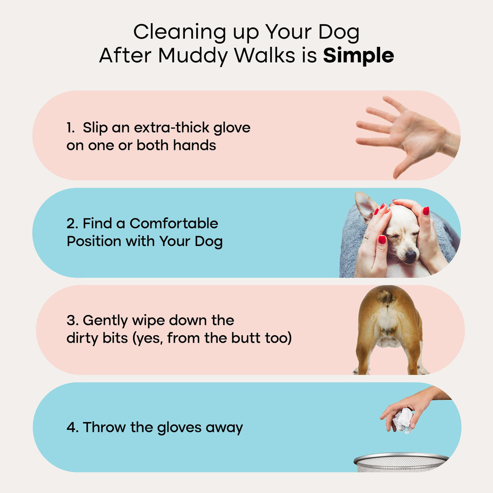 Uproot Clean QuickClean Gloves Pro eyes and ears wipe for safe, gentle cleaning.