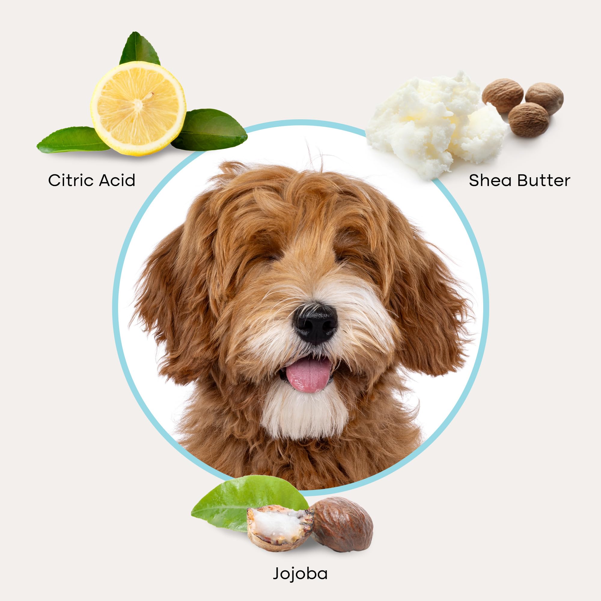 Uproot Clean QuickClean Gloves Pro lick-safe feature illustrated for safe pet handling.