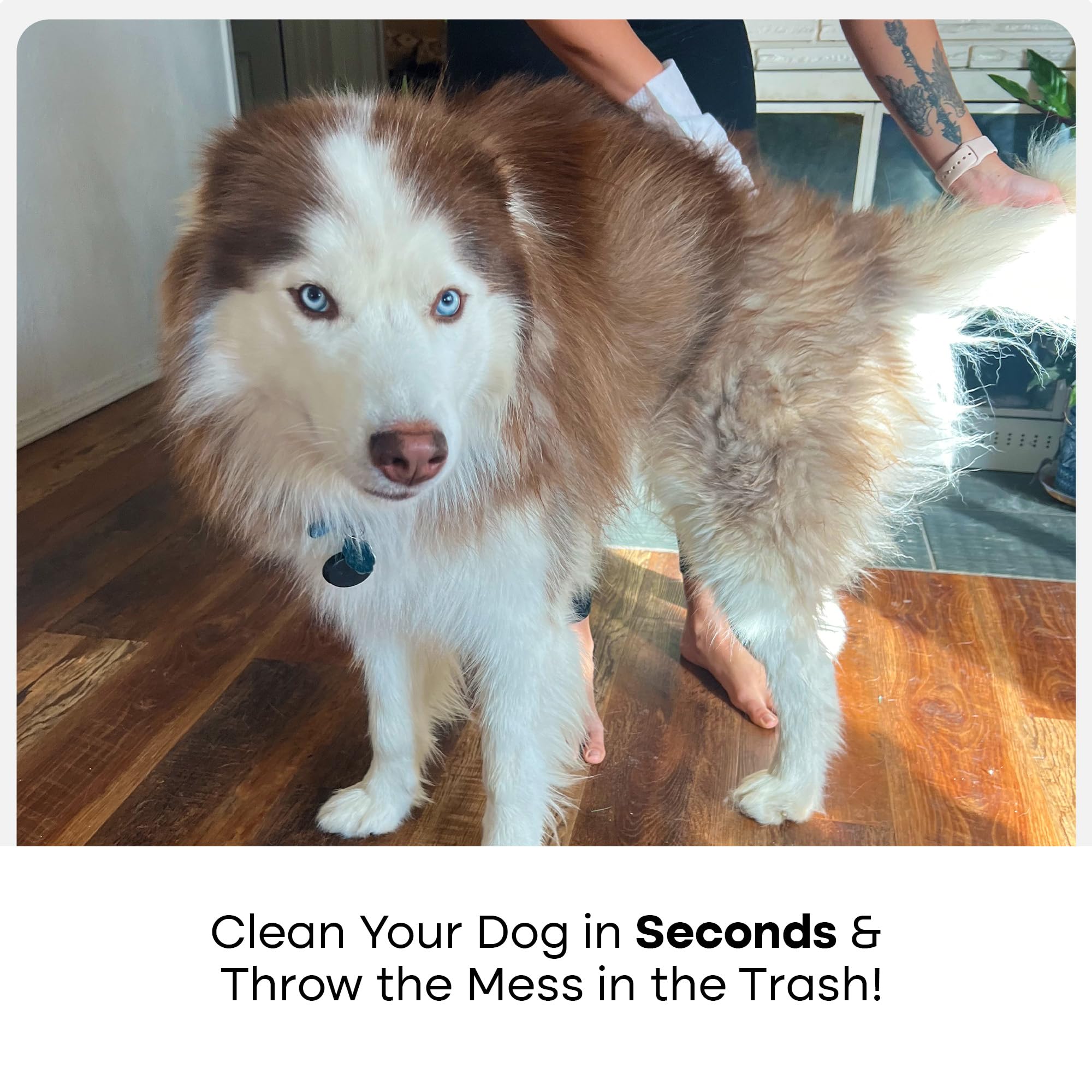 Uproot Clean QuickClean Gloves Pro closeup demonstrates paw cleaning and odor removal potential.