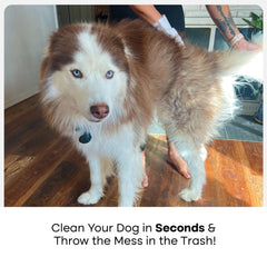 Uproot Clean QuickClean Gloves Pro closeup demonstrates paw cleaning and odor removal potential.