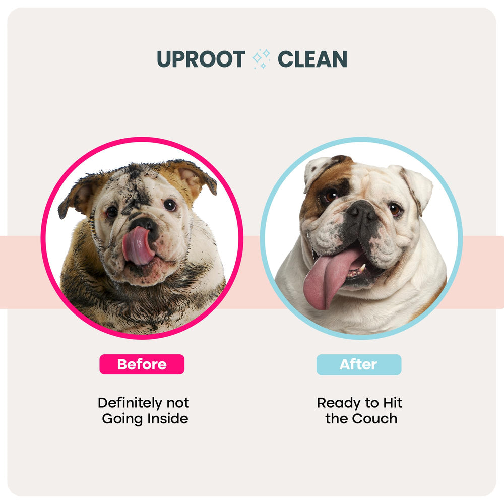 Uproot Clean QuickClean Gloves Pro travel packaging ready for trips and on-the-go care.