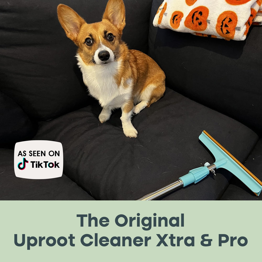 Uproot Cleaner Pro bed scene shows pet-hair removal from cat bed.