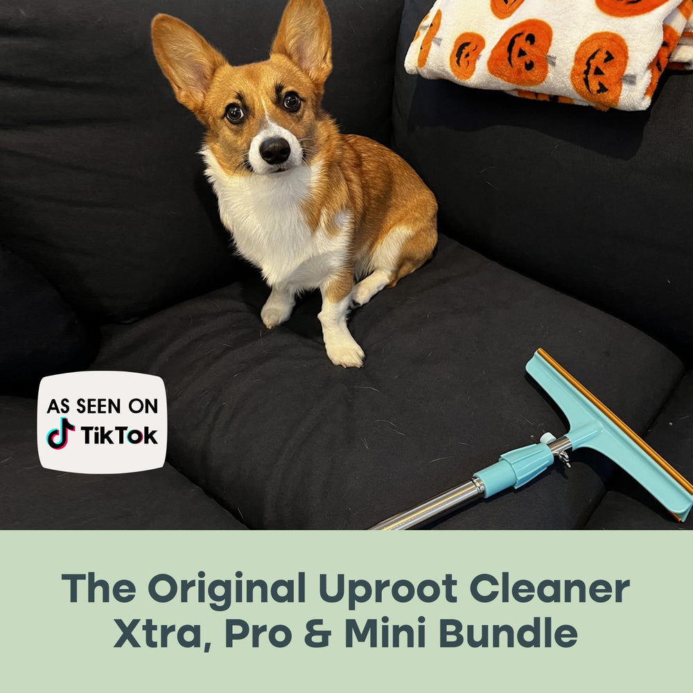 Uproot Cleaner Pro on car seat removes pet hair buildup.