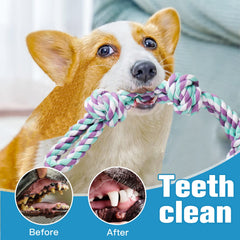 Upsky cuerda dental para perros medianos y grandes mejora higiene bucal
