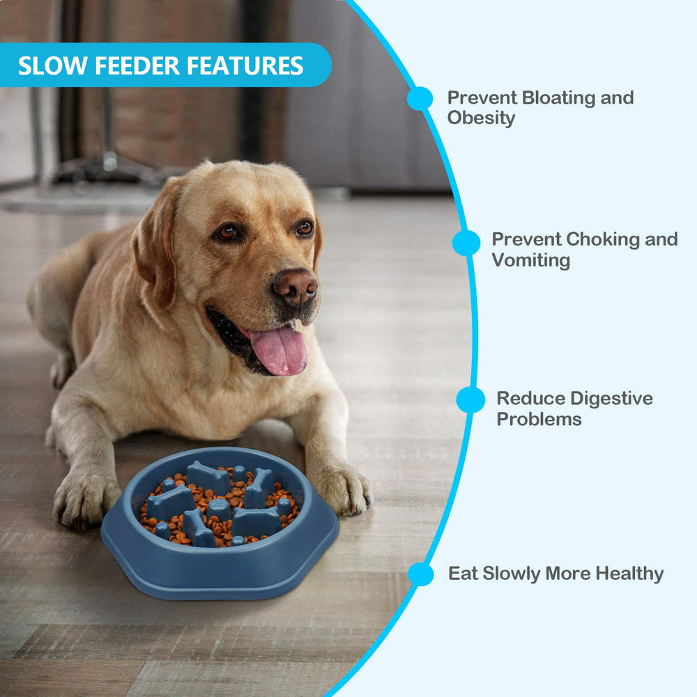 UPSKY slow feeder bowl interactive design invites dogs to explore meals.