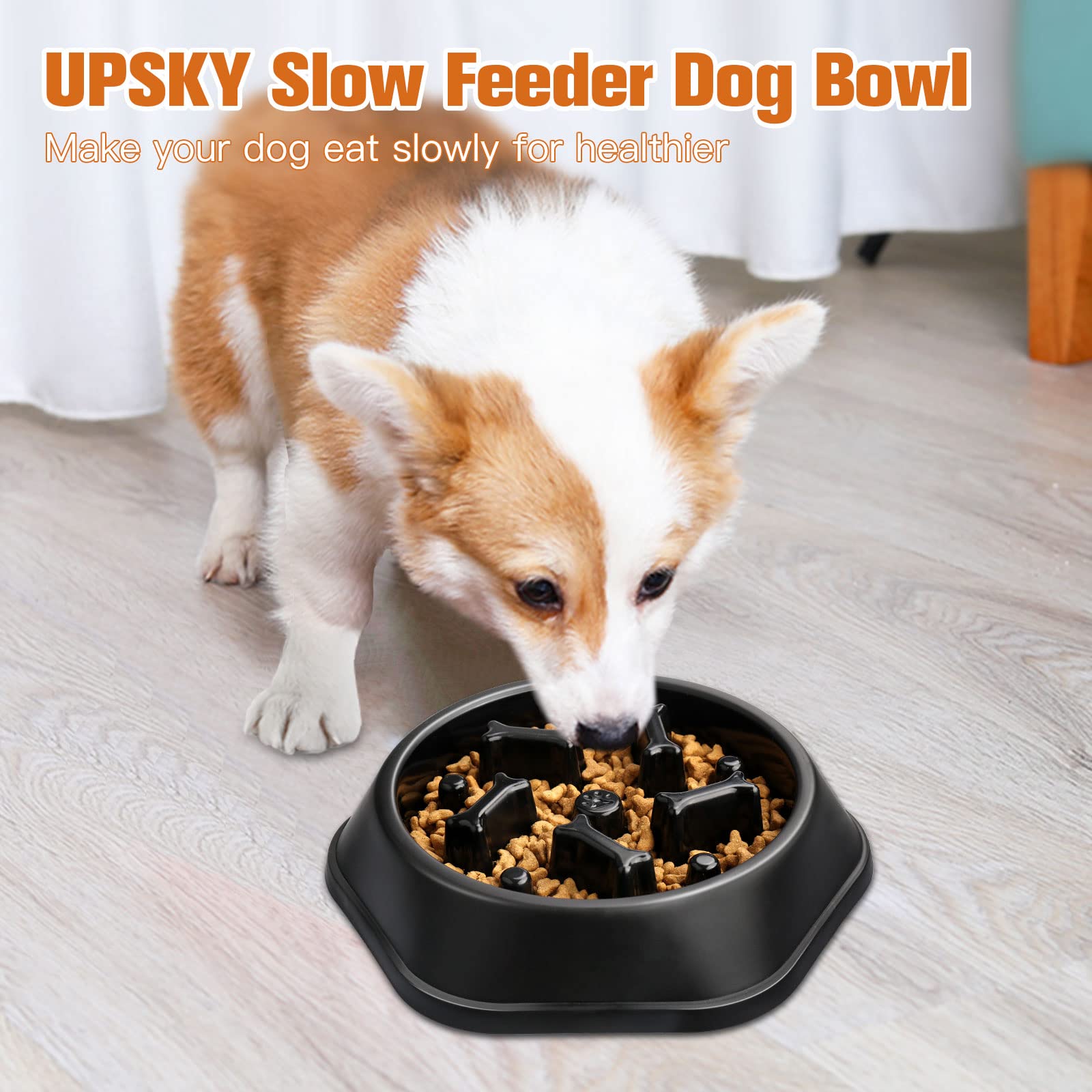 UPSKY Slow Feeder is small-dogs-friendly for calmer meals.