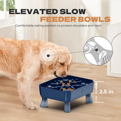 Upsky elevated feeding stand helps small and medium dogs eat comfortably