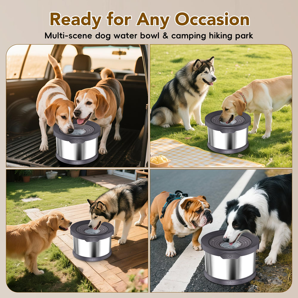 UPSKY removable filter keeps water fresher between refills