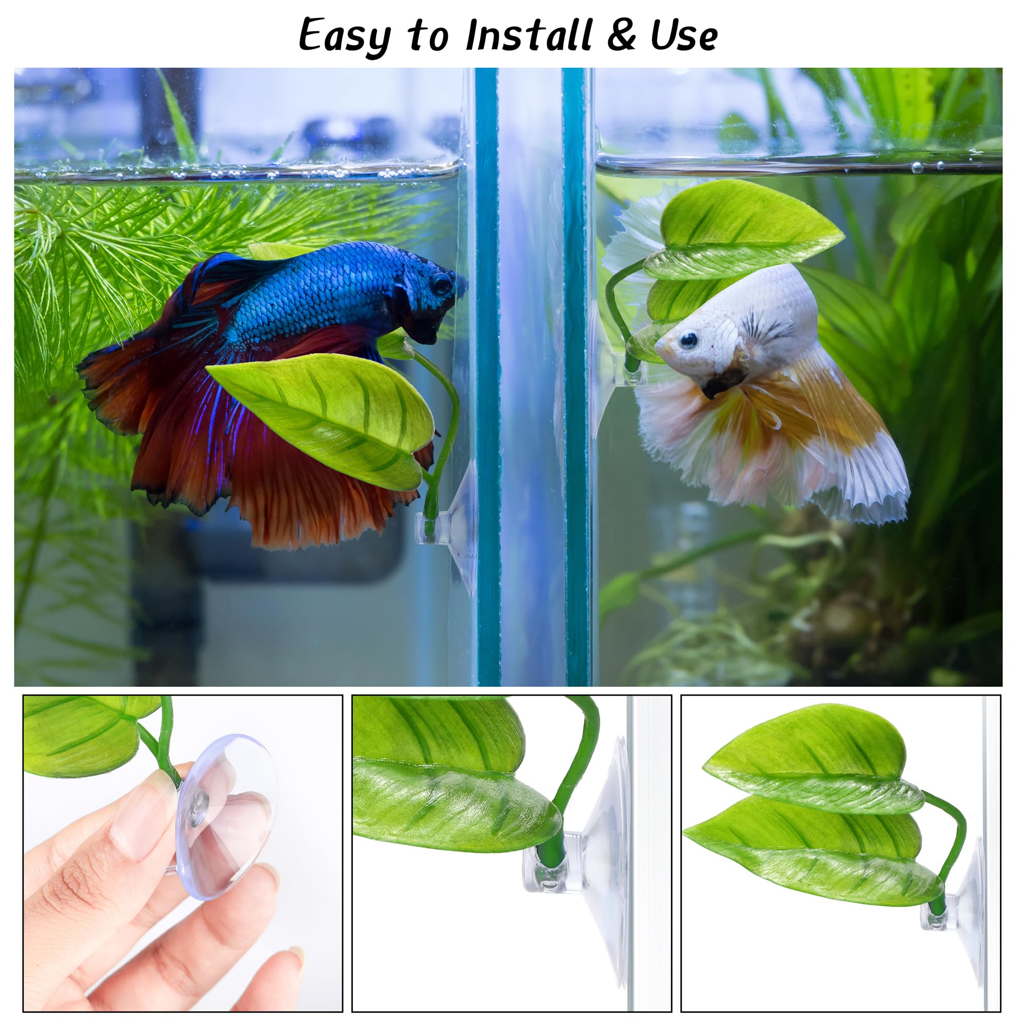 URATOT betta pad suction cup keeps the leaf pad secure on glass