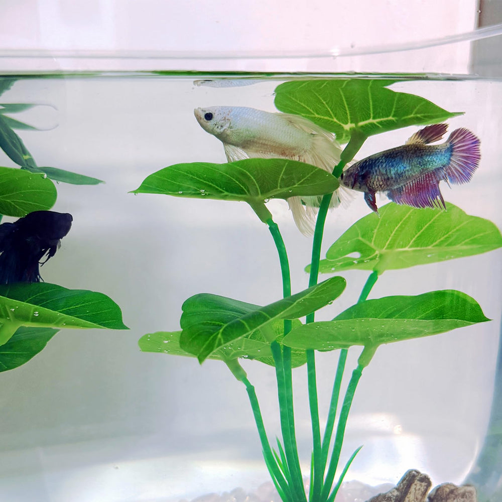 UreverFins easy-maintenance decor rotates and disassembles for quick cleaning.