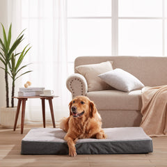 URGVANZ PET orthopedic memory foam bed providing support for aging dogs.