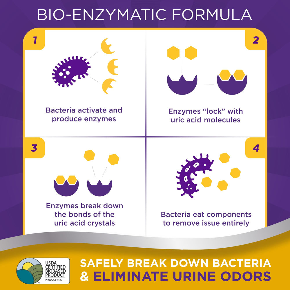 Urine Off bio-enzymatic action graphic illustrates uric acid targeting