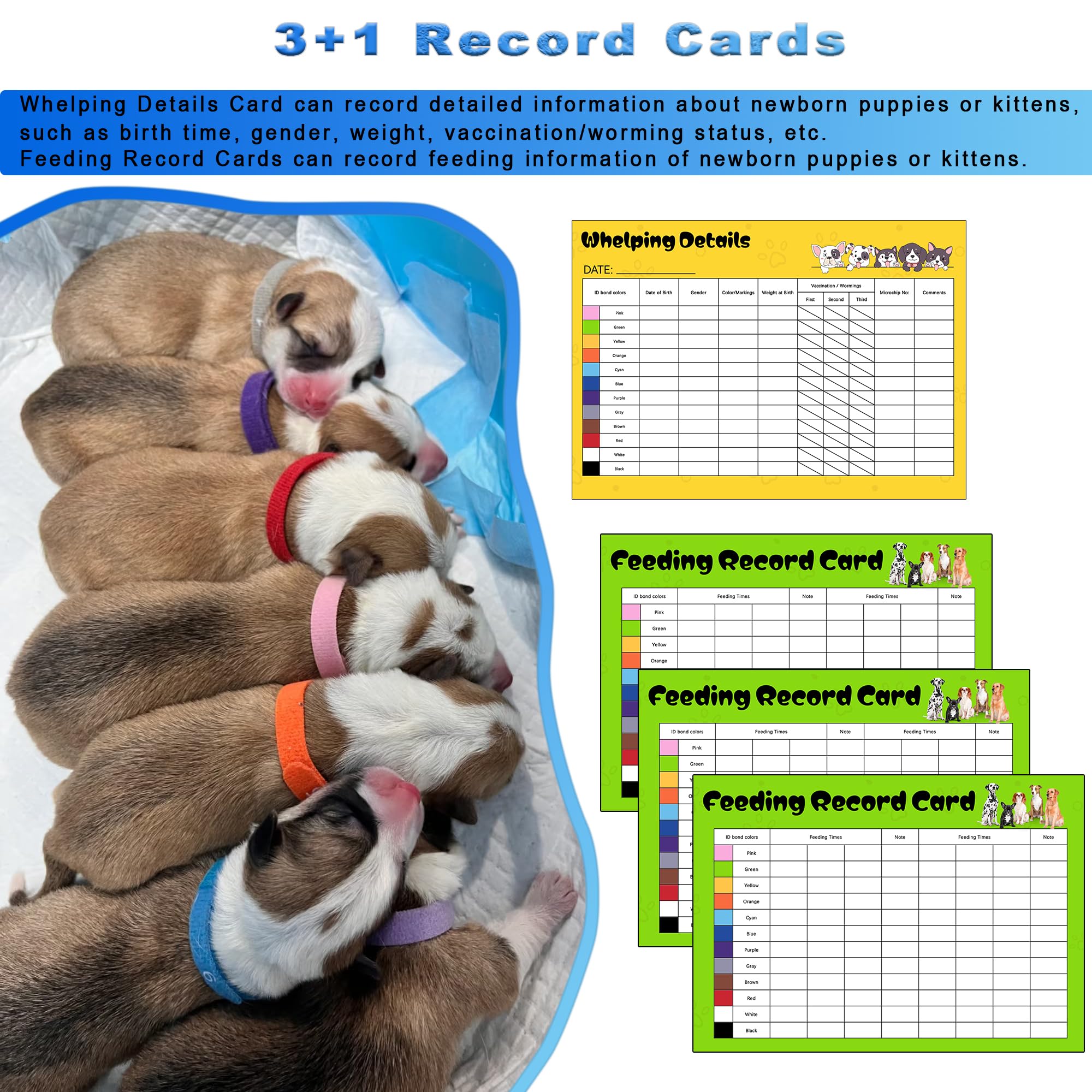 URMYONLY adjustable ID collars help identify each newborn efficiently.