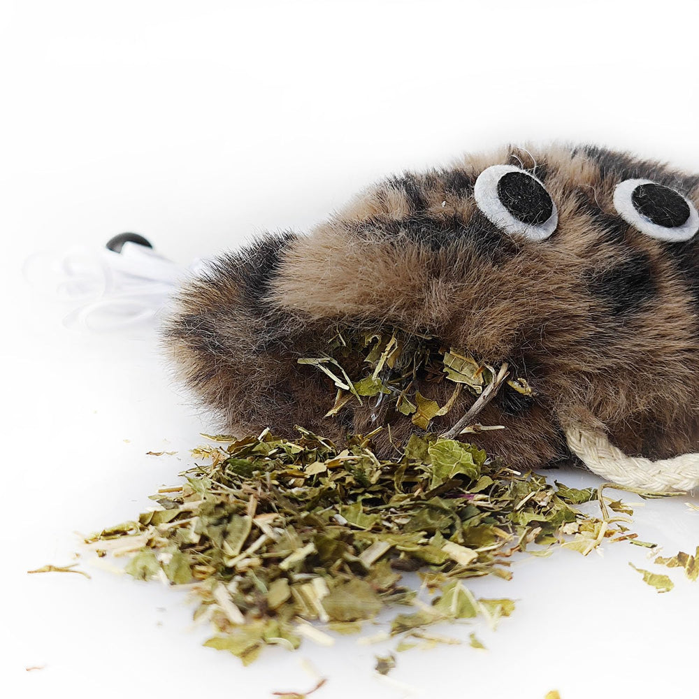 URMYONLY door-hanging cat toy worm encourages playful pouncing and hunting instincts