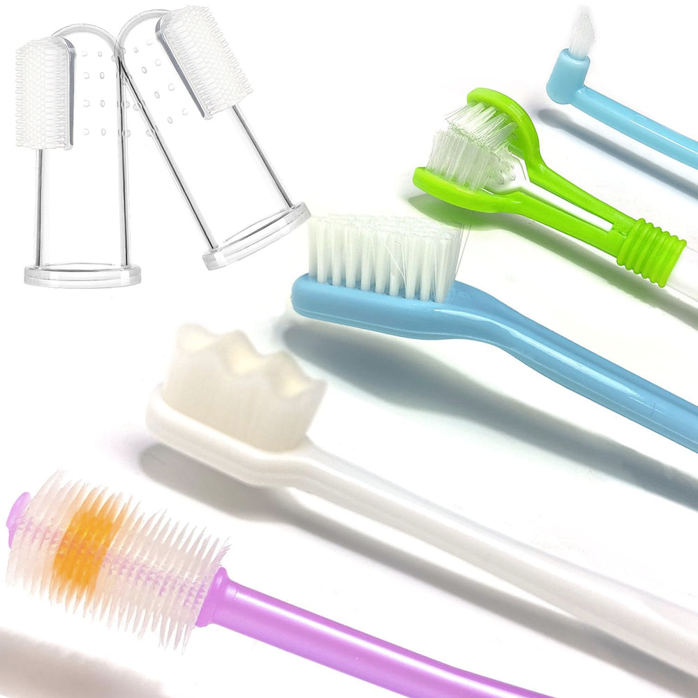 URMYONLY pet oral care kit image shows a complete brushing setup for routines.