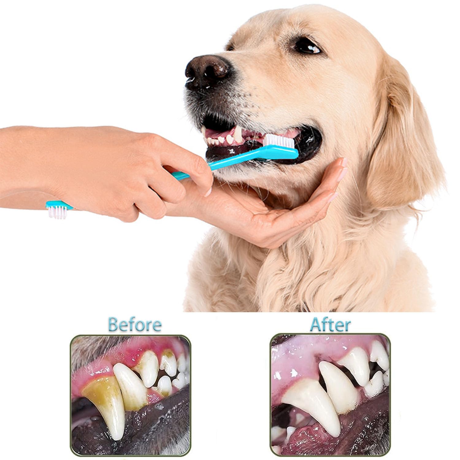 URMYONLY soft bristles toothbrush delivers gentle cleaning for small or anxious pets.