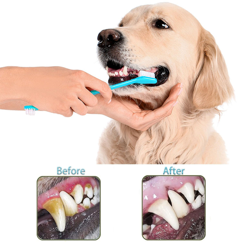 URMYONLY soft bristles toothbrush delivers gentle cleaning for small or anxious pets.