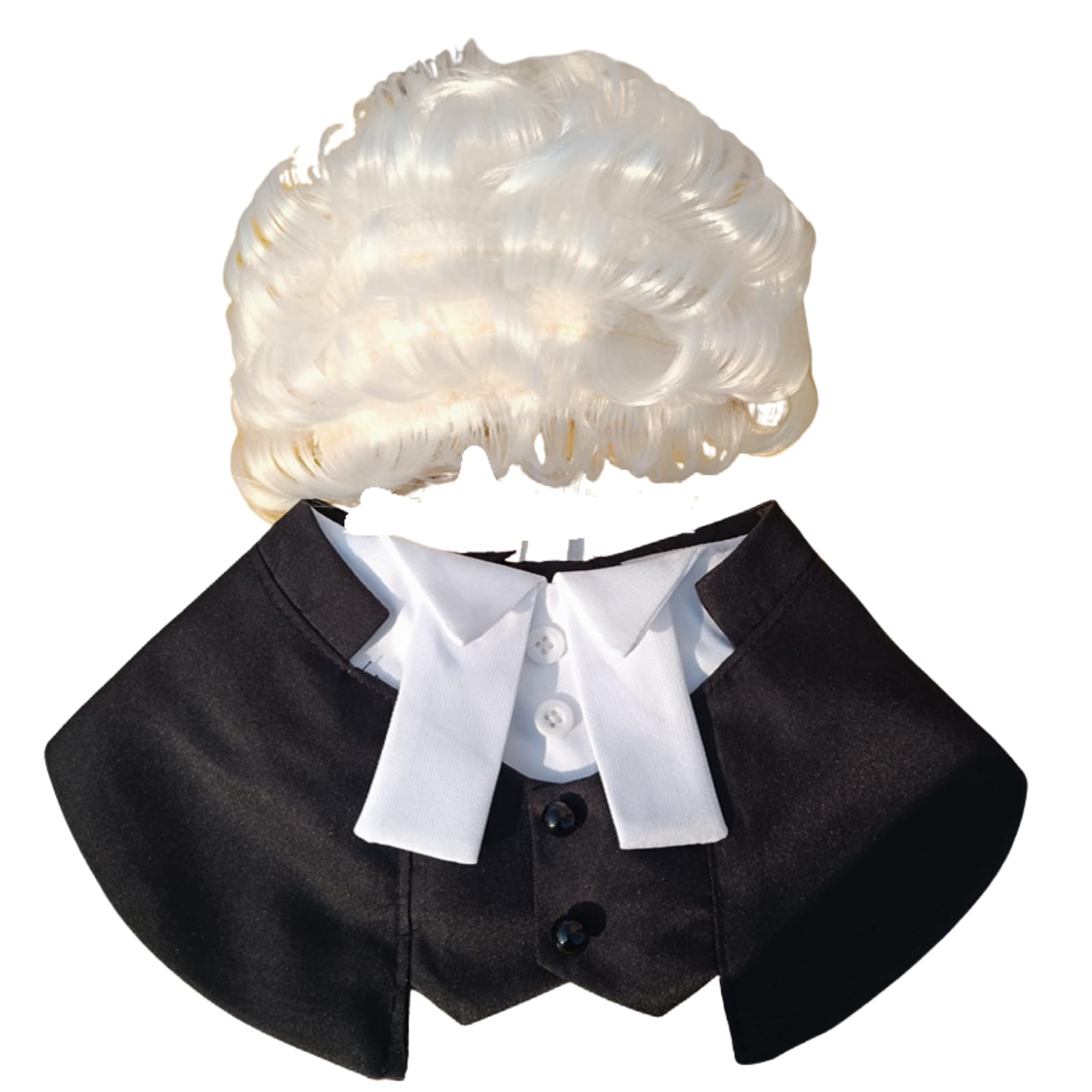Urnat gift idea pet costume — unique present for pet lovers