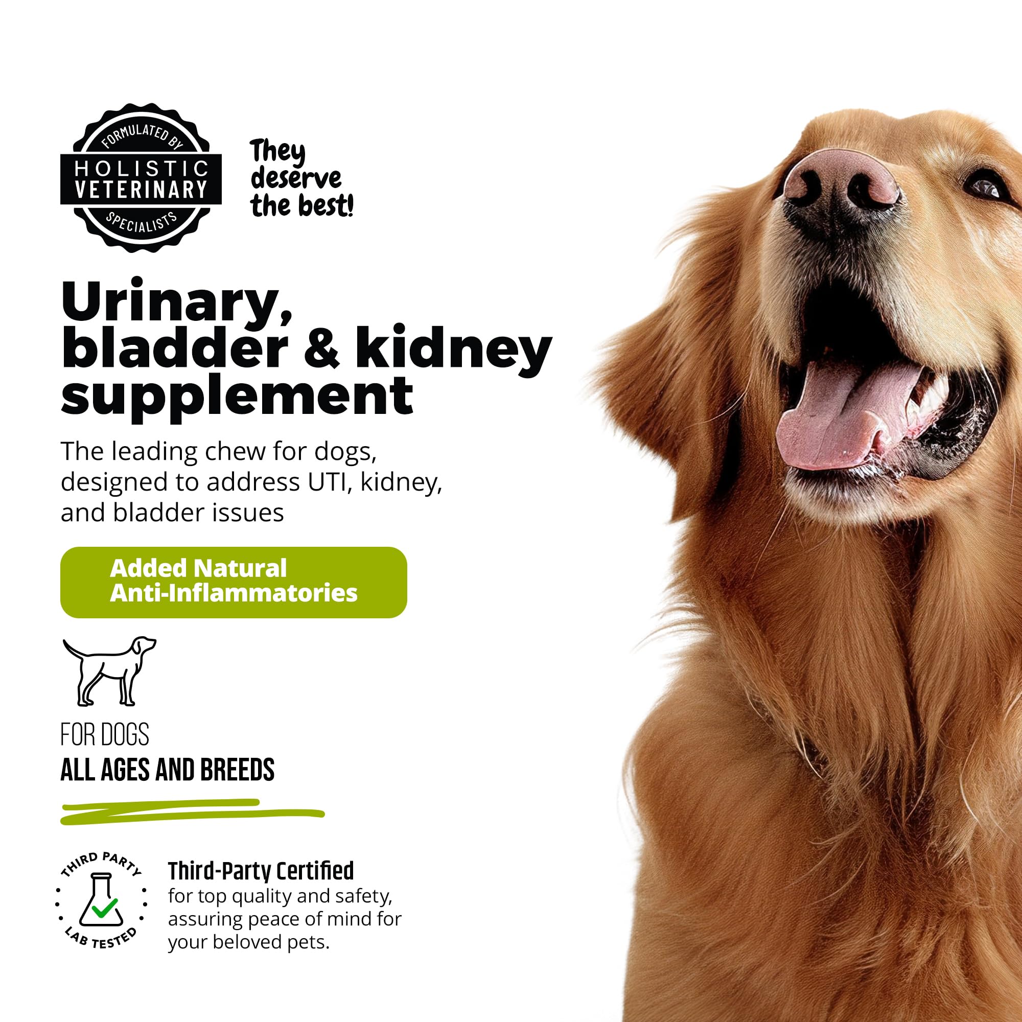 UroMAXX antioxidant formula adds natural protection for dogs' urinary environment.
