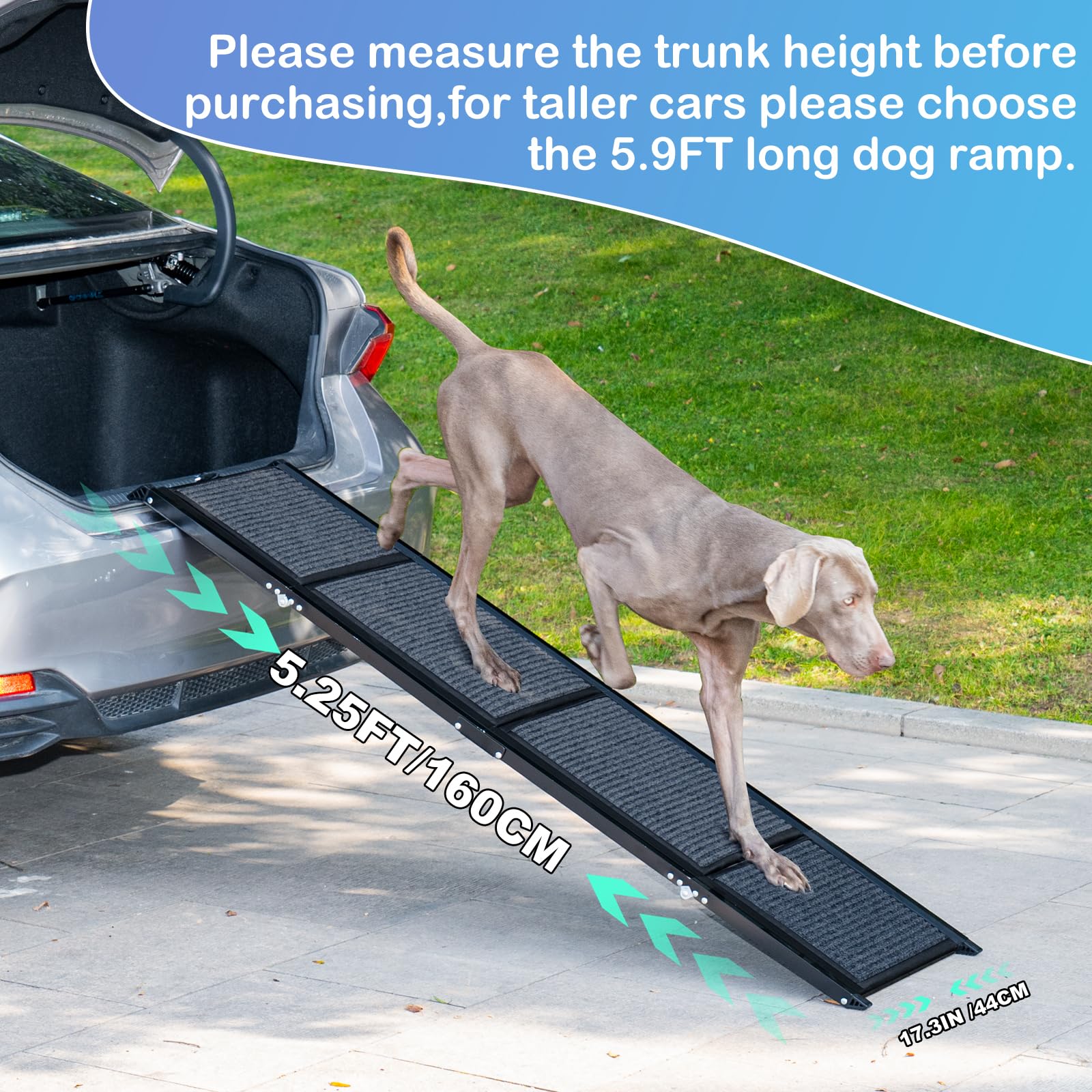 Uross Dog Ramp side-angle view highlights a gentle incline for comfort.