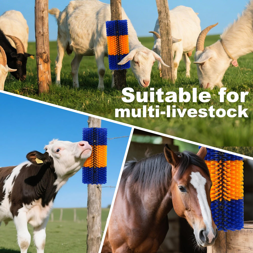 Uross goat scratching with the brush near grazing area