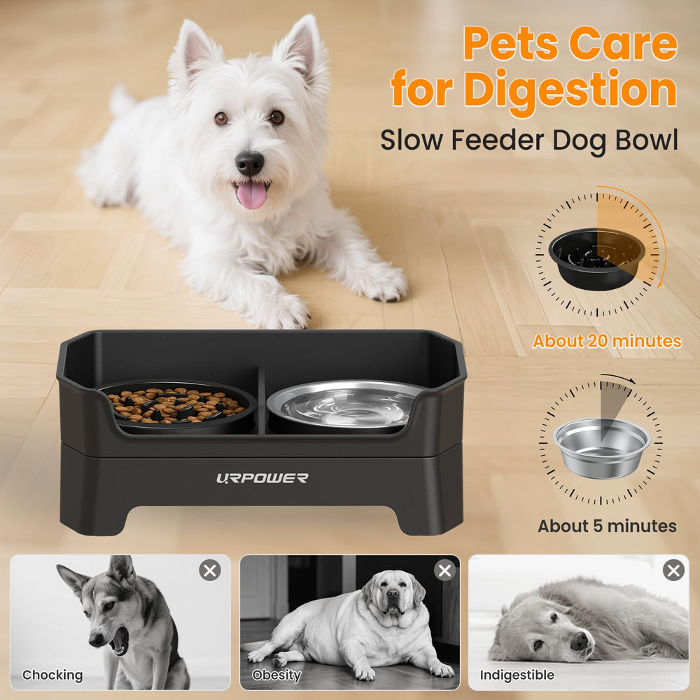 URPOWER adjustable 4-height settings fit growing dogs comfortably.