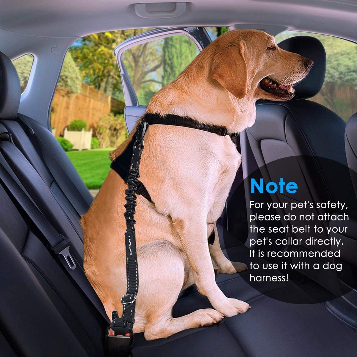 URPOWER dog seatbelt in car use highlights practical travel safety for pets.
