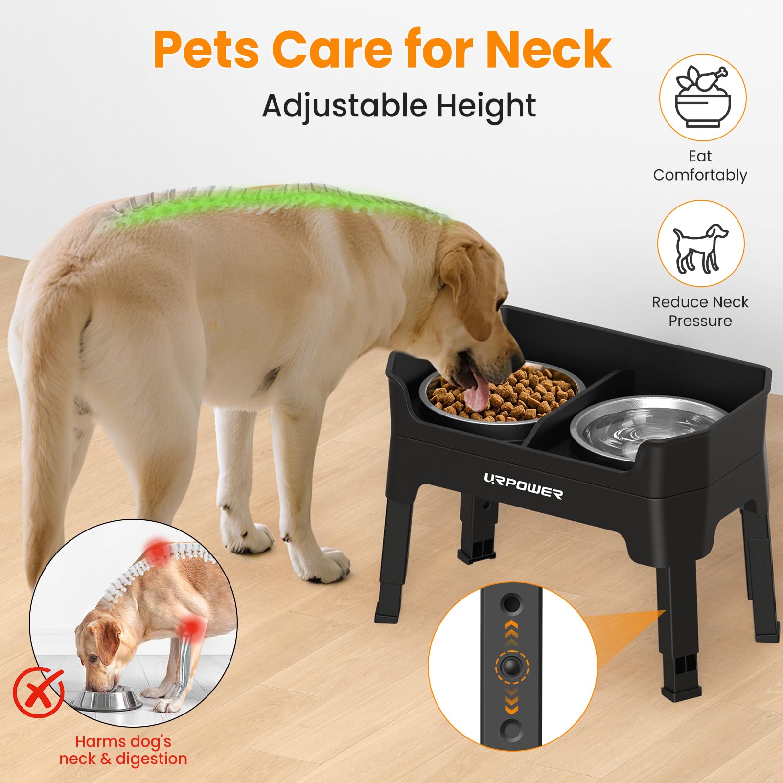 URPOWER elevated dog bowls stand at 12.99 inches shows versatile height for larger breeds.