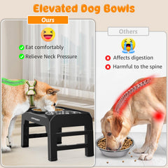 URPOWER no-spill edge raised feeder demonstrates tidy feeding and minimal mess.