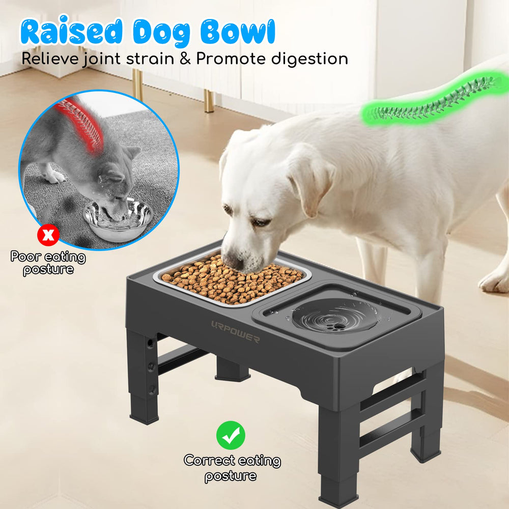 URPOWER stainless steel food bowl with 54 oz capacity for meals.