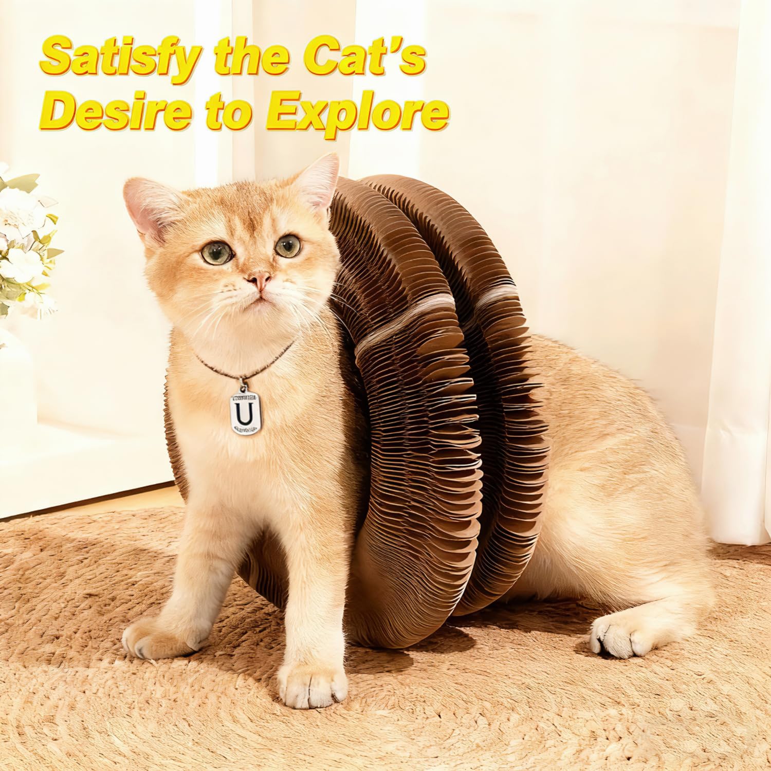 URSKTM instrucciones y hierba gatera para deleite del gato.