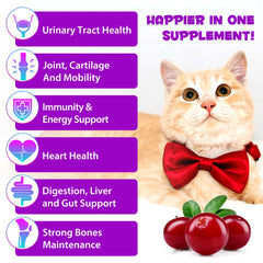 Uruses 2-pack cat multivitamin box with droppers for easy dosing.