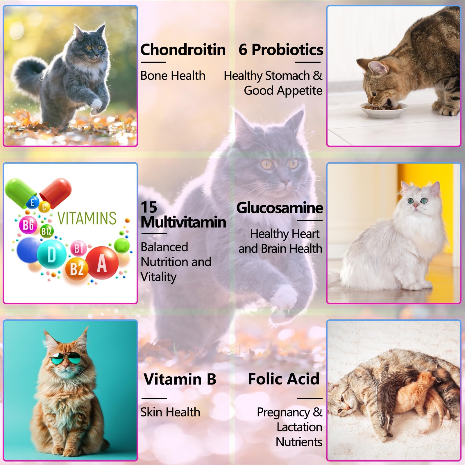 Uruses cat vitamin drops mixed with food for convenient administration.