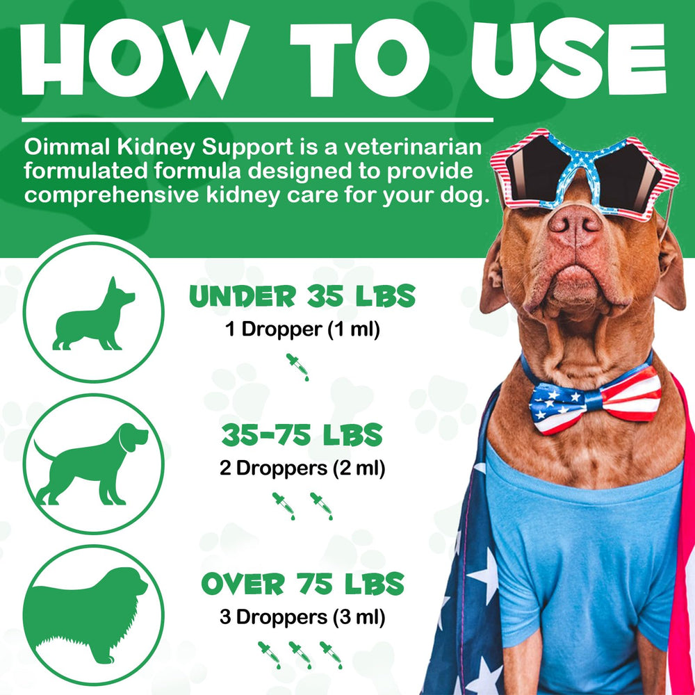 Uruses Pet Kidney Support dog enjoys an active, happy moment.