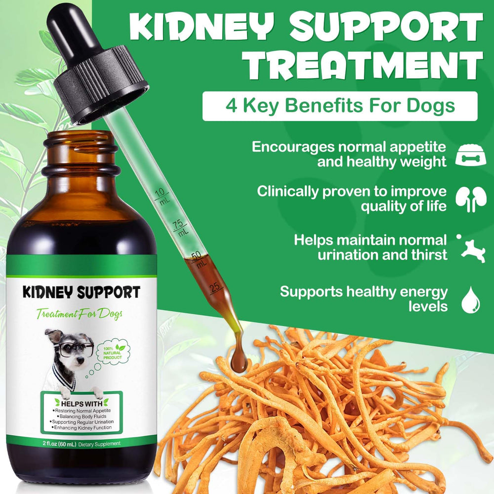 Uruses Pet Kidney Support pour demonstrates easy dosing into water or food.