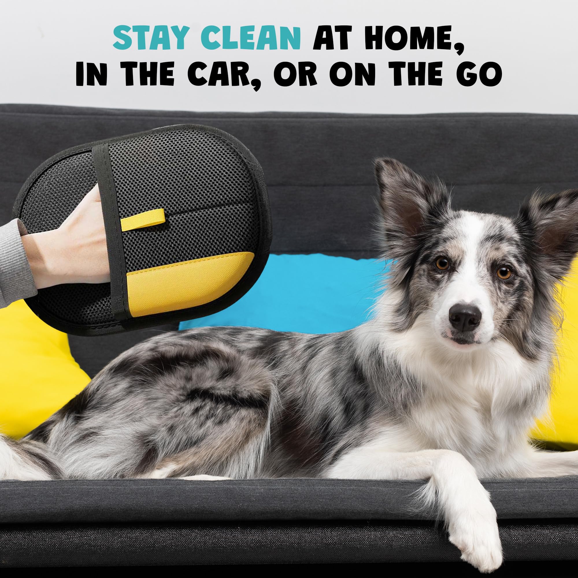 USAYEGH pet hair remover gloves 2-piece set showcased for complete cleaning