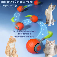 USB-rechargeable cat toy ball with tail offers convenient charging between play sessions.