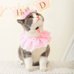 Ushang Pet lace bandana on cat highlights breathable stylish accessory
