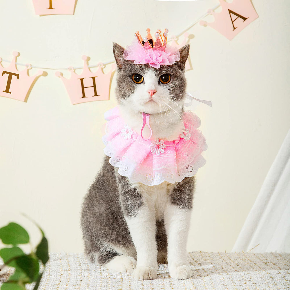 Ushang Pet everyday fancy cat wearing lace scarf look