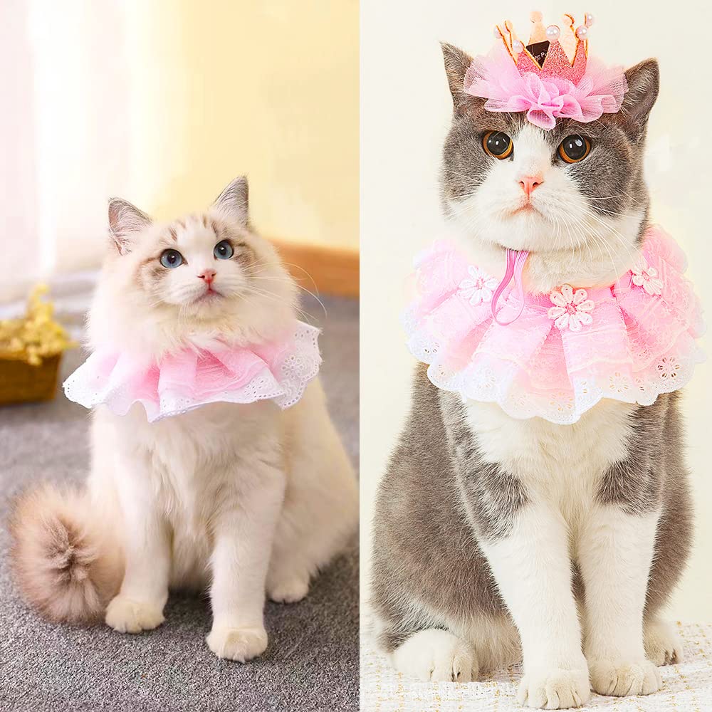 Ushang Pet gotcha day portrait with crown hat accent