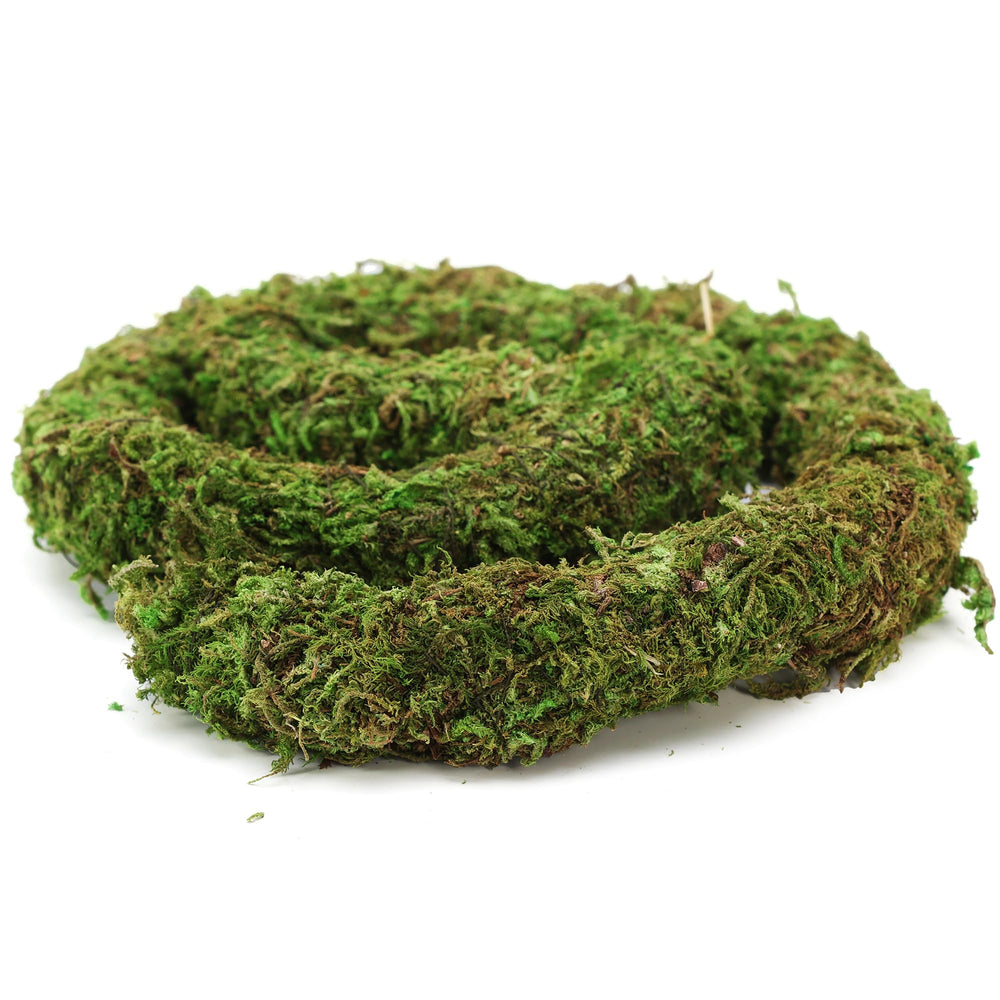 USMOLA arch vine for terrarium adds shelter and visual appeal.