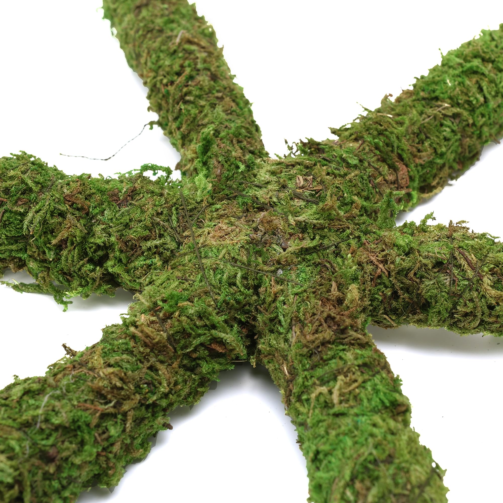 USMOLA Bendable moss vine design enables customizable tank configurations.