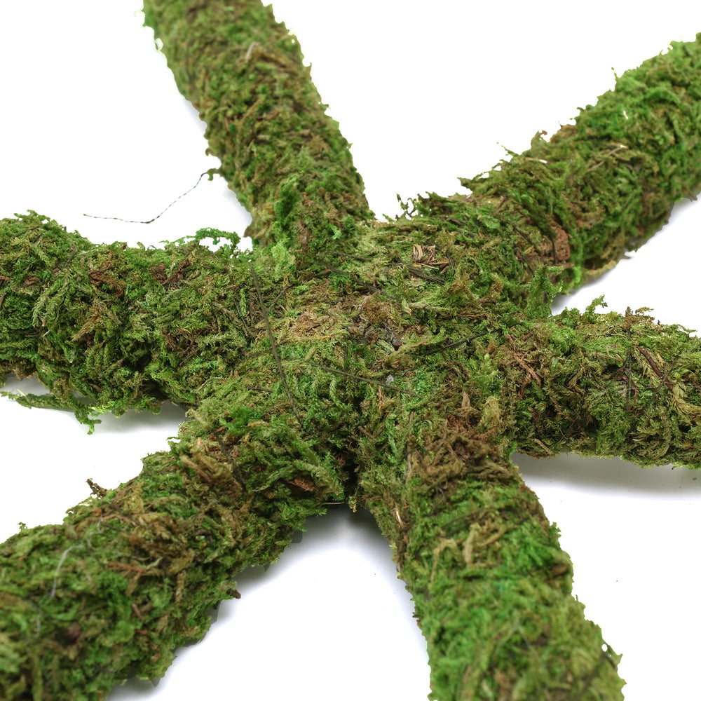 USMOLA Bendable moss vine design enables customizable tank configurations.