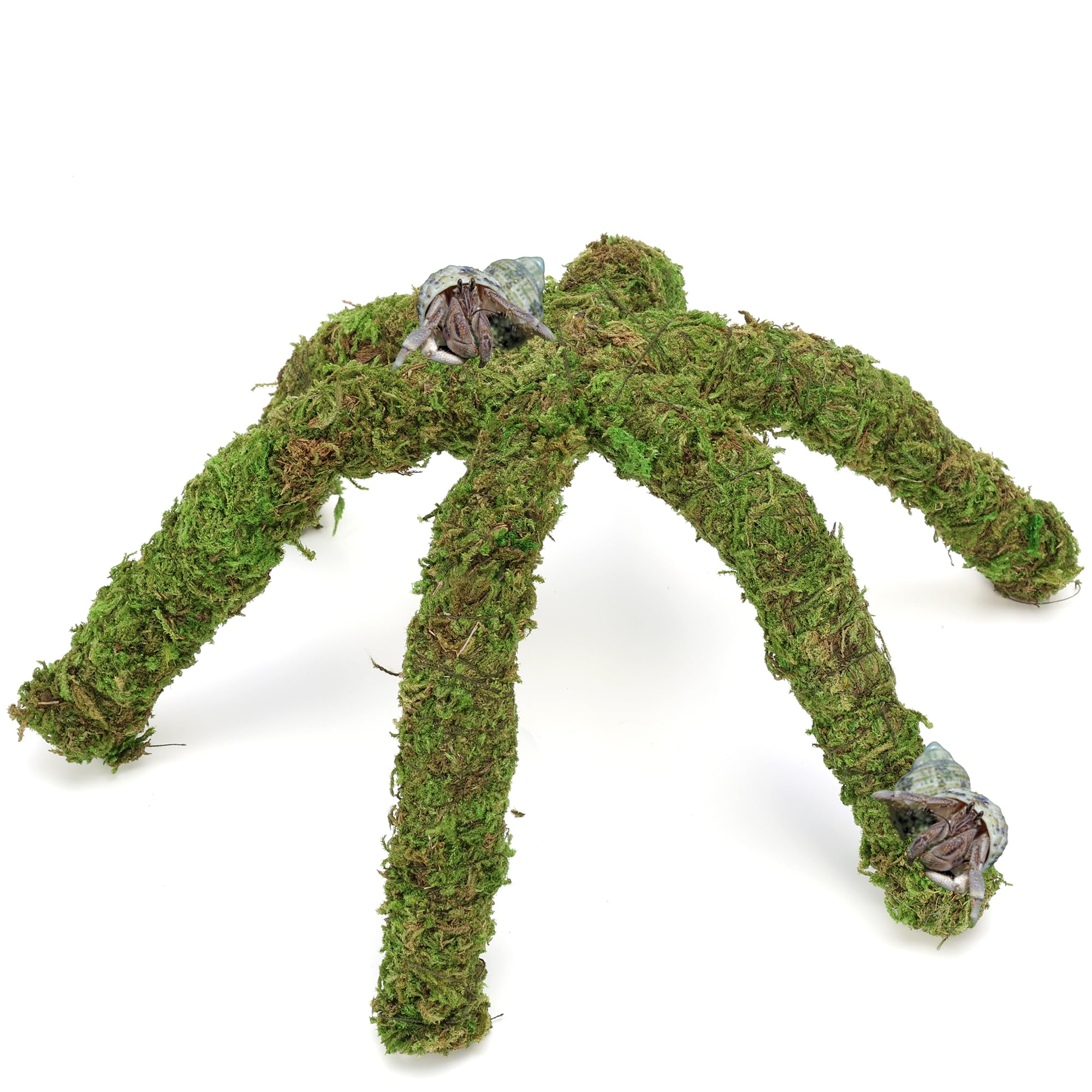 USMOLA Hermit Crab Climbing Toy moss pole 12 inch for enriching tank exploration.