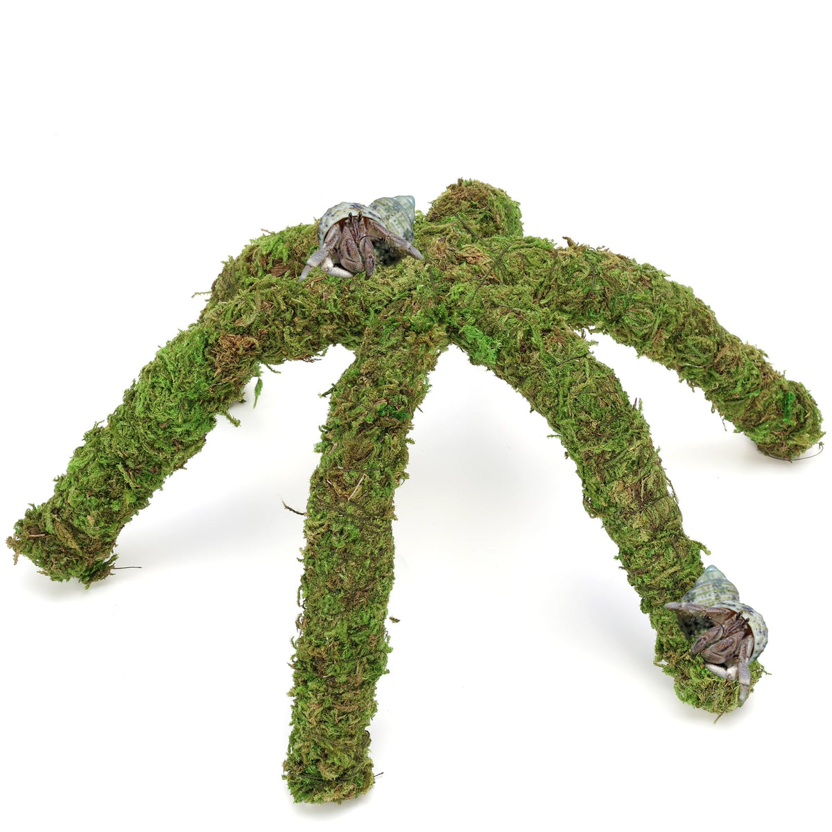 USMOLA Hermit Crab Climbing Toy moss pole 12 inch for enriching tank exploration.