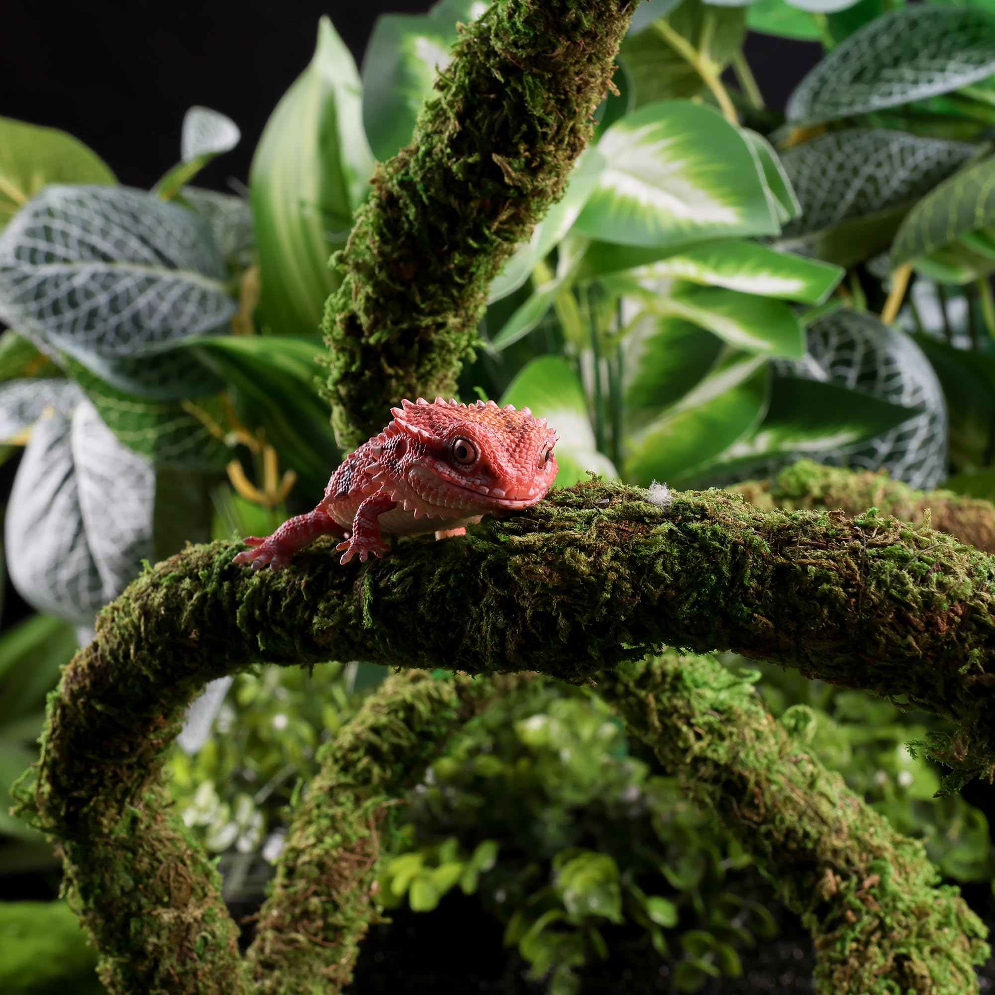USMOLA Moss Vine climbing-paths close-up for flexible enclosures
