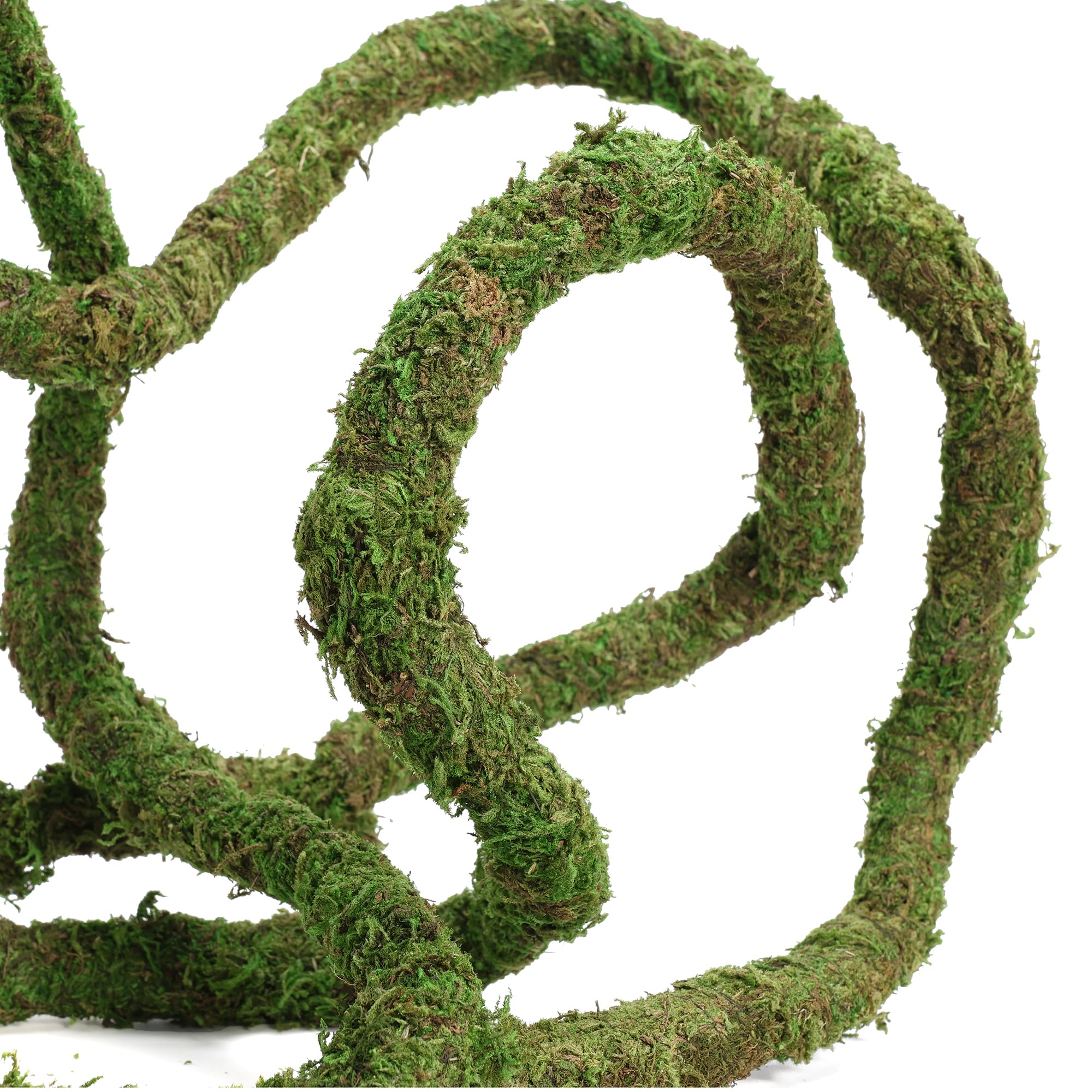 USMOLA Moss Vine easy-clean maintenance supports tank sanitation